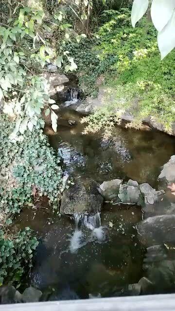 马永贞：靠拳脚功夫横行上海滩，却被一伙计使阴招暗算殒命