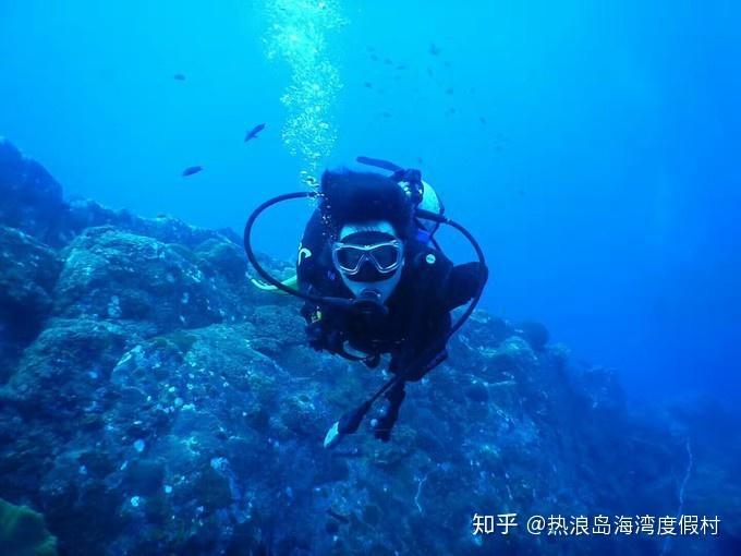手抓饼怎么包游戏画面